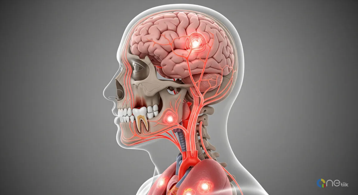 How Long Until a Tooth Infection Kills You? Causes, Risks & Prevention